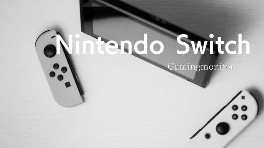 Nintendo Switchに最適なゲーミングモニター！フォートナイトやスマブラが快適に
